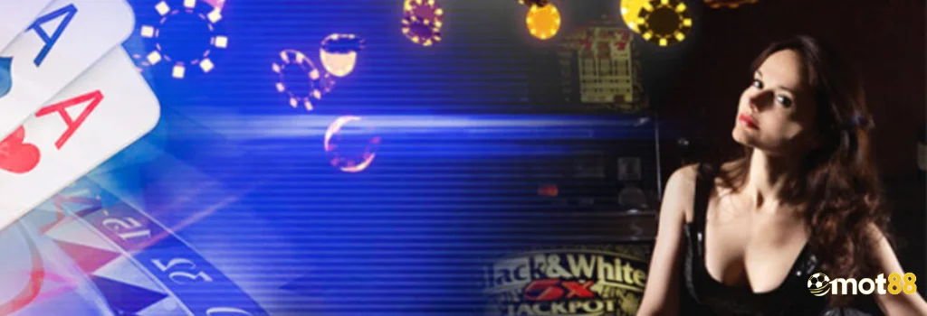 banner-2