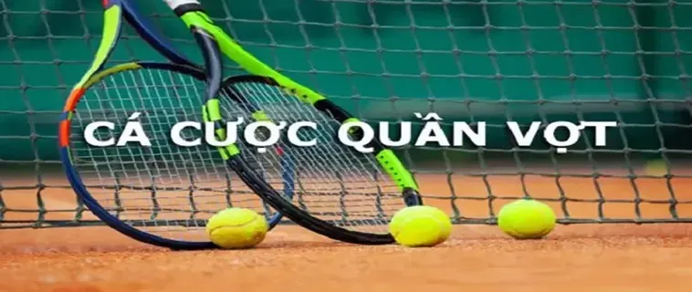 Tìm Hiểu Quần Vợt MOT88: Sân Chơi Đẳng Cấp Cho Giới Cá Cược